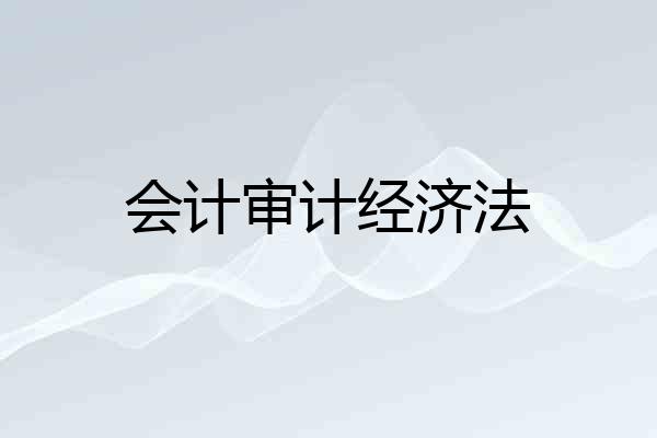 会计审计经济法