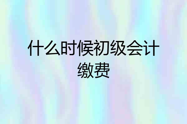 什么时候初级会计缴费