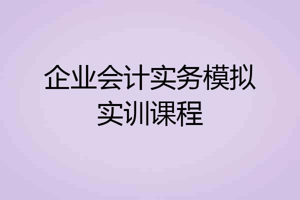 企业会计实务模拟实训课程
