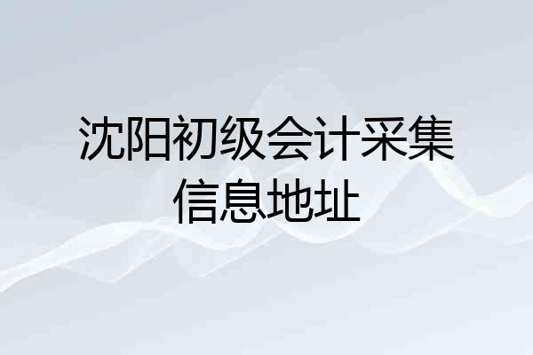 沈阳初级会计采集信息地址