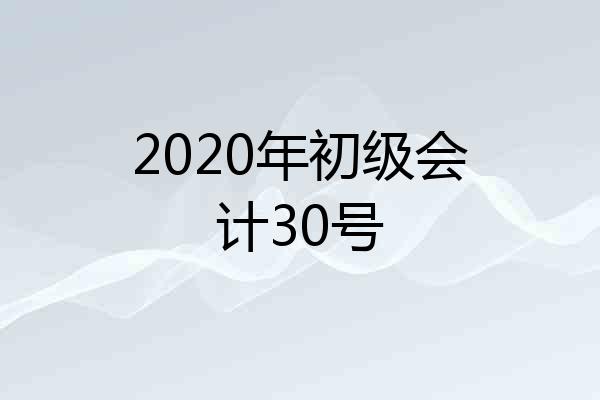 2020年初级会计30号