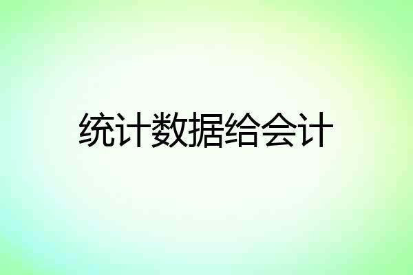统计数据给会计