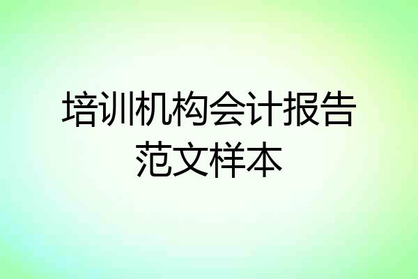 培训机构会计报告范文样本
