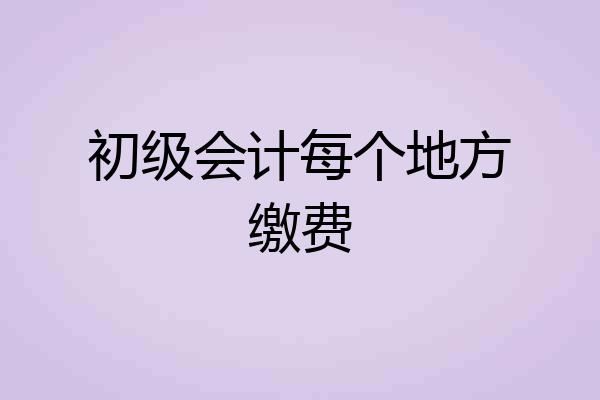 初级会计每个地方缴费