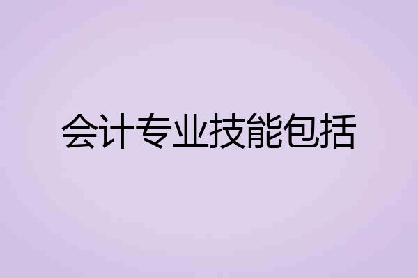 会计专业技能包括