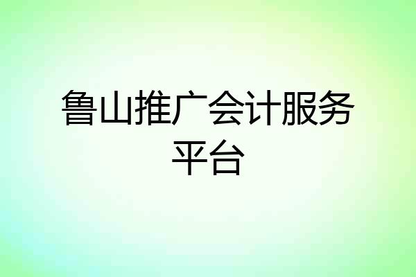 鲁山推广会计服务平台