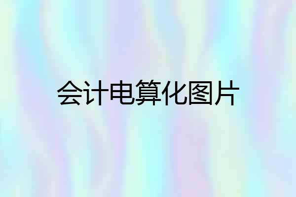 会计电算化图片