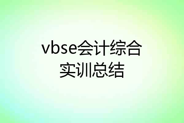 vbse会计综合实训总结