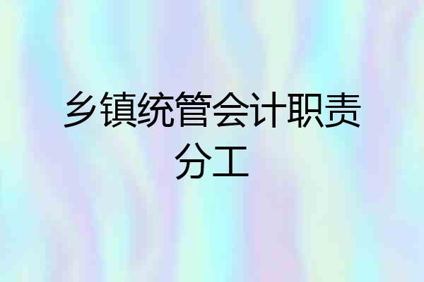 乡镇统管会计职责分工