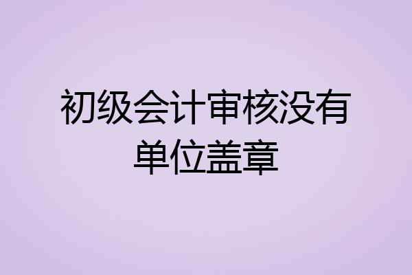 初级会计审核没有单位盖章