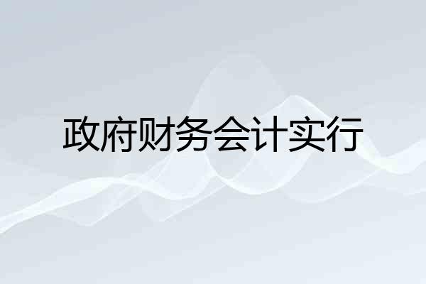 政府财务会计实行