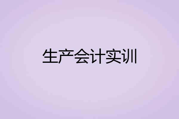 生产会计实训