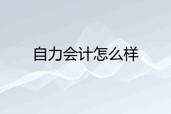 自力会计怎么样