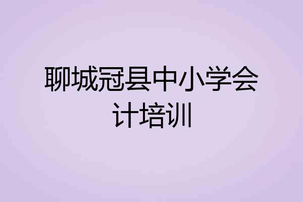 聊城冠县中小学会计培训