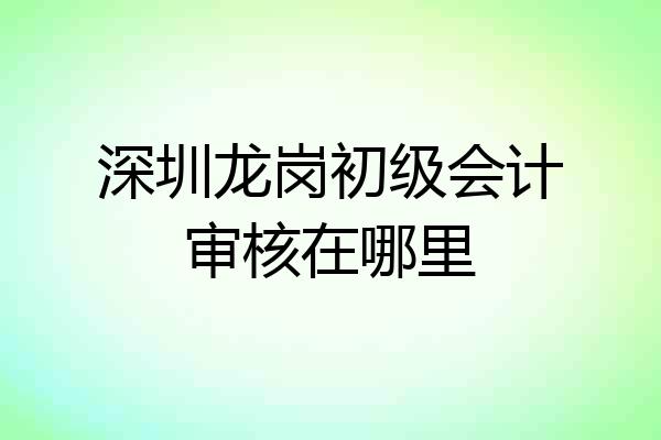 深圳龙岗初级会计审核在哪里