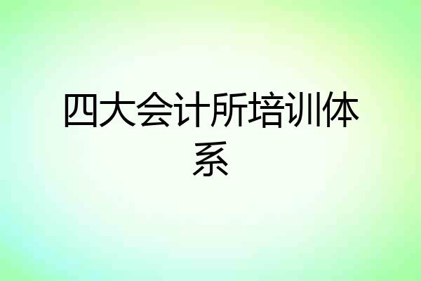 四大会计所培训体系
