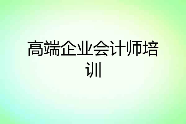 高端企业会计师培训