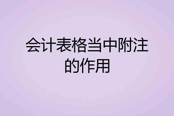 会计表格当中附注的作用