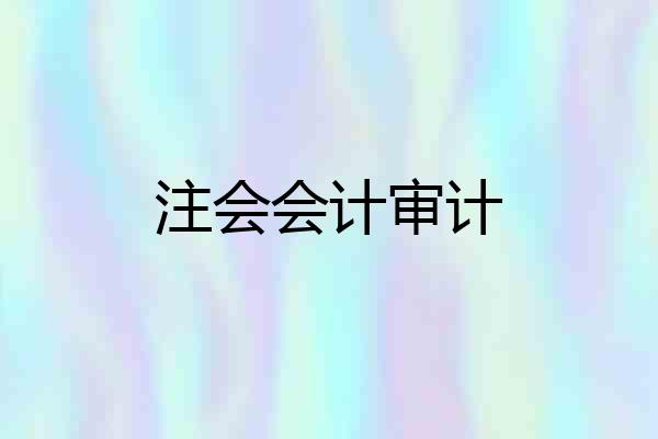 注会会计审计