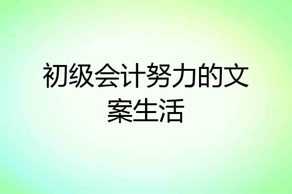 初级会计努力的文案生活