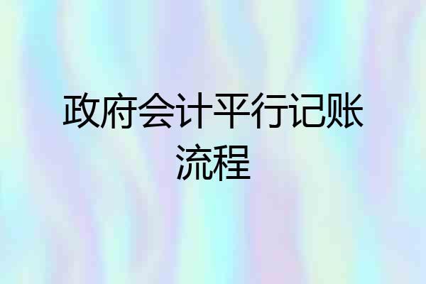 政府会计平行记账流程
