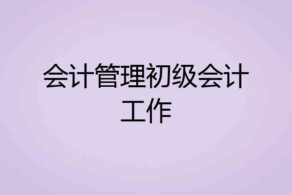 会计管理初级会计工作