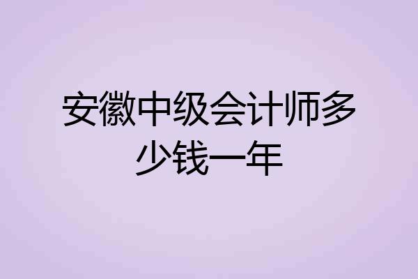 安徽中级会计师多少钱一年