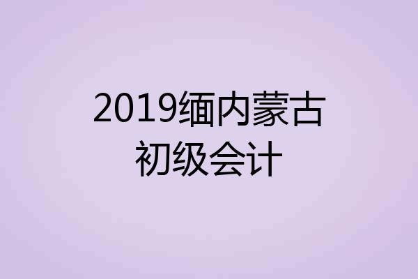 2019缅内蒙古初级会计
