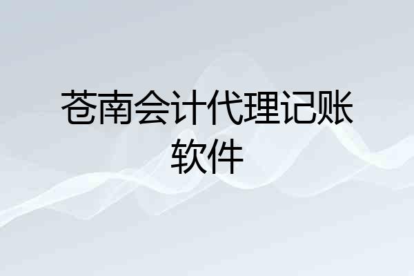 苍南会计代理记账软件