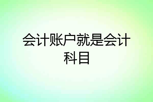 会计账户就是会计科目