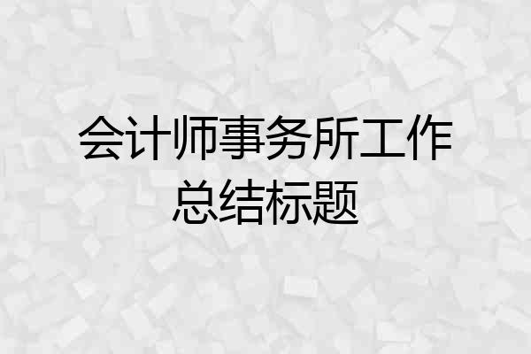 会计师事务所工作总结标题