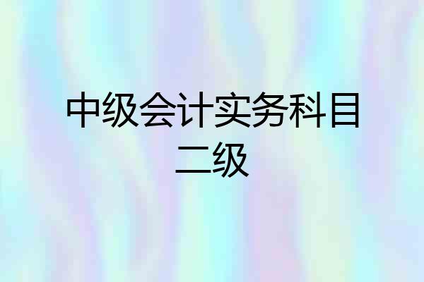 中级会计实务科目二级