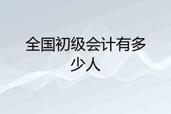 全国初级会计有多少人