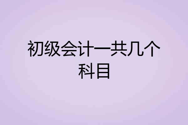 初级会计一共几个科目