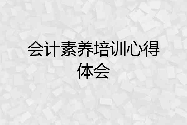 会计素养培训心得体会