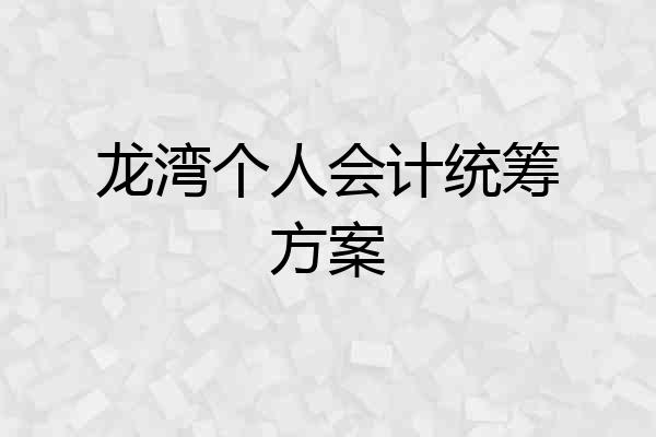 龙湾个人会计统筹方案