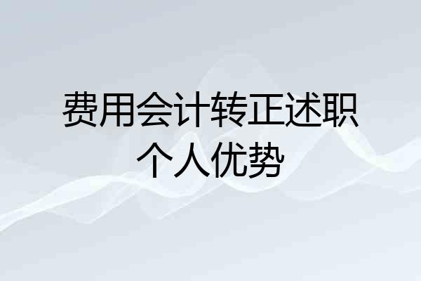 费用会计转正述职个人优势