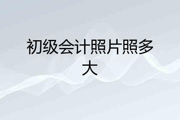 初级会计照片照多大
