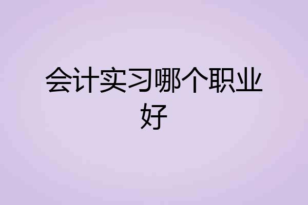 会计实习哪个职业好