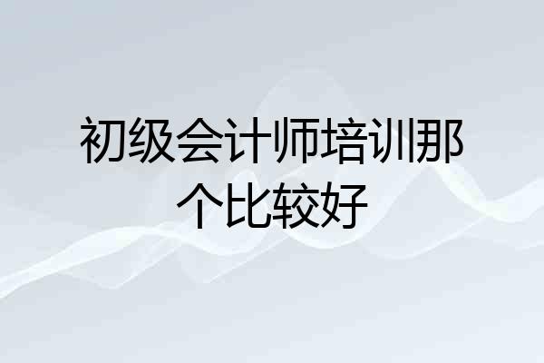 初级会计师培训那个比较好