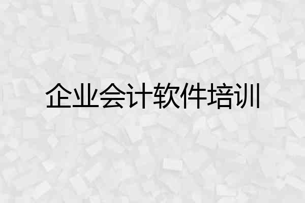 企业会计软件培训