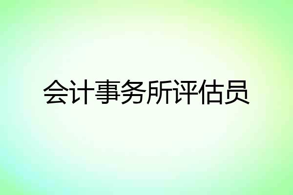 会计事务所评估员