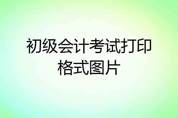 初级会计考试打印格式图片