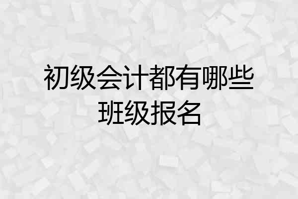 初级会计都有哪些班级报名