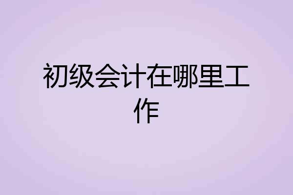 初级会计在哪里工作