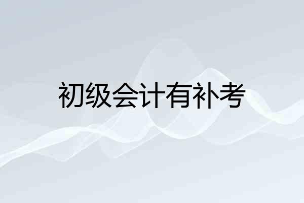 初级会计有补考