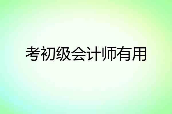 考初级会计师有用