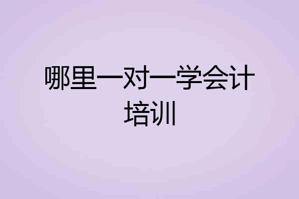 哪里一对一学会计培训