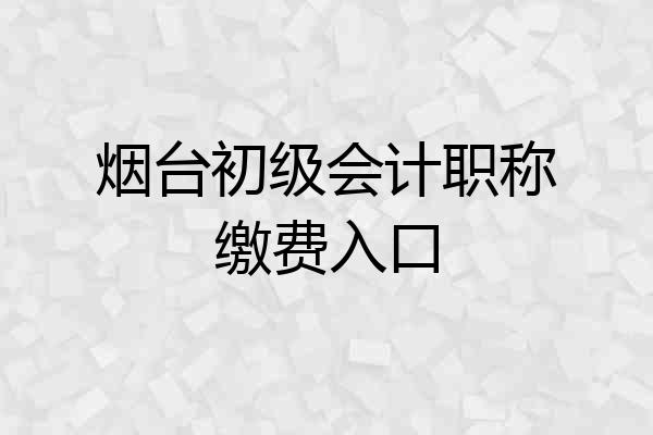 烟台初级会计职称缴费入口