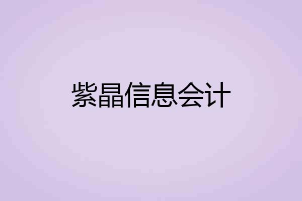 紫晶信息会计